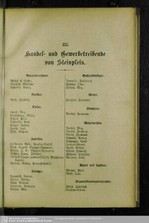 III. Berufsklassen und Gewerbebetriebe : III. Handel- und Gewerbetreibende in Steinpleis