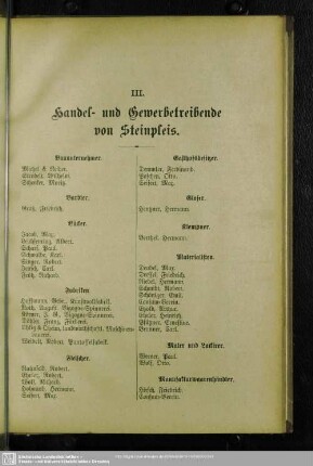 III. Berufsklassen und Gewerbebetriebe : III. Handel- und Gewerbetreibende in Steinpleis