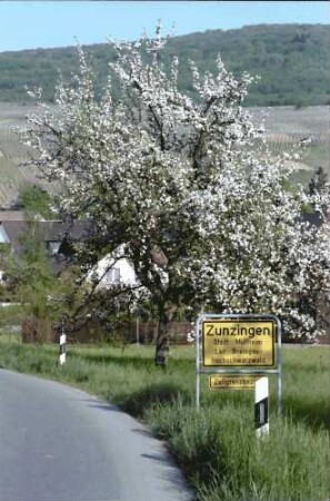 Zunzingen: Straße mit Ortsschild