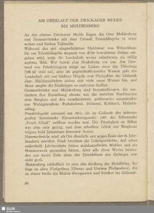 Am Oberlauf der Zwickauer Mulde bei Muldenburg