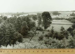 Fotografie, Deichow (Dychów)