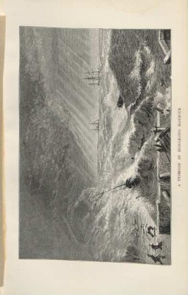 A typhoon in Hongkong harbour