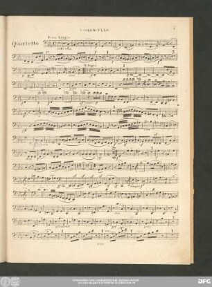 Violoncello