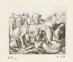 Fünf Jagdhunde