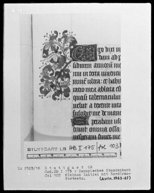 Liber horarum — Kleine Initiale C mit Bordürenfortsatz, Folio 103recto