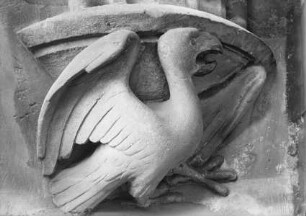 Adler