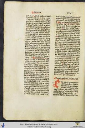 Sermones XIX-XXI