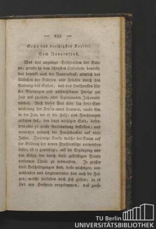 Sechs und dreißigstes Kapitel. Vom Raupenfraß.