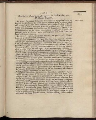 Description d'une nouvelle espèce de Carlowizia