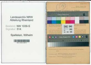 Entnazifizierung Wilhelm Spelleken , geb. 04.09.1897 (Rechnungspruefer)