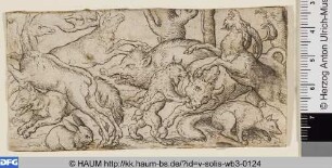 Verschiedene Tiere