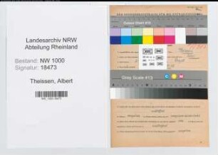 Entnazifizierung Albert Theissen, geb. 21.02.1907 (Studienrat)