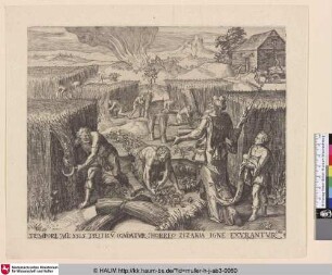 [Heuernte; Harvesting of hay]