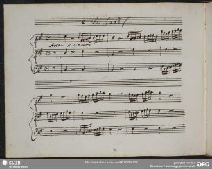 Aria: Sì vincerò