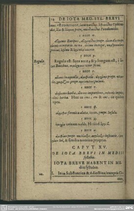 Caput XV. De Iota Brevi Mediis syllabis