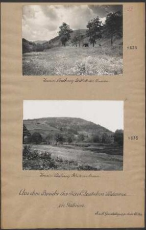 Zwinin Nordhang. Anblick von Koziowa