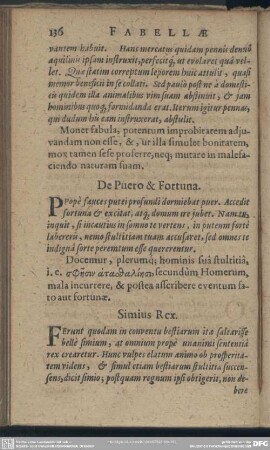 De Puero & Fortuna