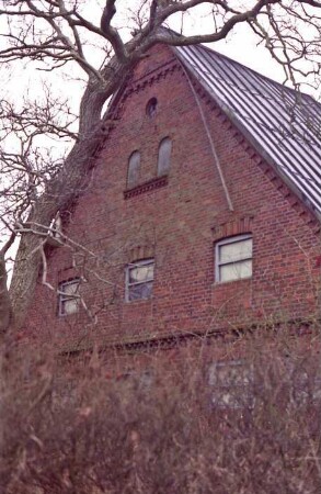 traufständiges Bauernhaus aus Backstein: Giebelseite: davor Baum, vorne Hecke