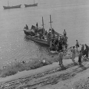 Fischerboote im Hafen von Nessebar. Heimkehrende Küstenfischer auf dem Schwarzen Meer, an der Bucht von Burgas