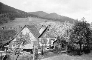 Schiltach: Bauernhäuser mit Blütenbäumen