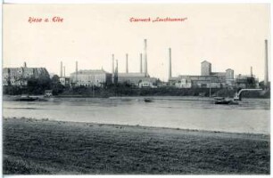 Riesa. Eisenwerk von der Elbe gesehen