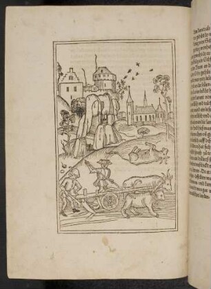 St. Lucius und der Bär, der einen Ochsen getötet hat, am Ochsenpflug.