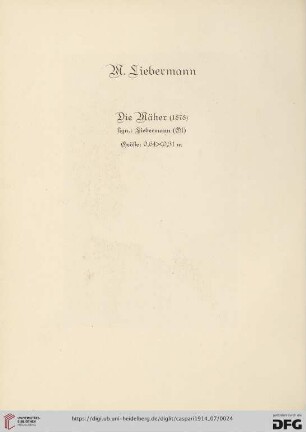 M. Liebermann