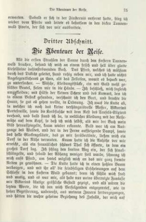 Dritter Abschnitt. Die Abenteuer der Reise