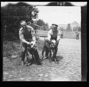 Fresnes-les-Montauban (Dep. Pas-de-Calais, Frankreich): Feld-Unterarzt Heyde und Gefreiter Garhammer mit den "Bataillons-Kälbern"