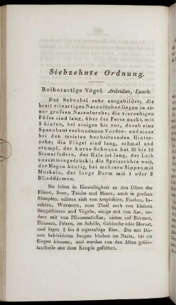 Siebzehnte Ordnung. Reiherartige Vögel. Ardeidae, Leach.