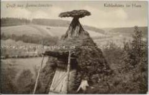 Köhlerhütte im Harz