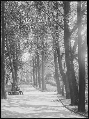 Freiberg. Albert-Park