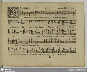 VI. Nativitas gloriosae virginis Mariae