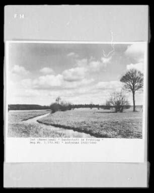 Landschaft im Frühling