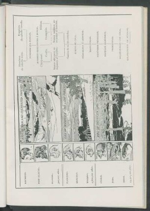Diagrama ilustrando la teoría de la evolución del Profesor Haeckel. : [Tomado del McClure's Magazine, Agosto 1901.]