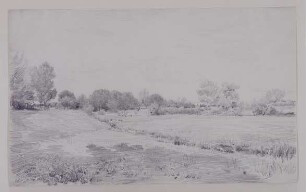 Wiesenlandschaft mit Bäumen, Sträuchern und Bach