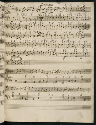 143-167, F. And. - F. Sim. et Jud.