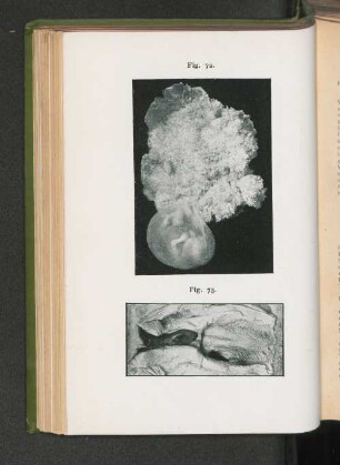 Fig. 72. Fig. 73.