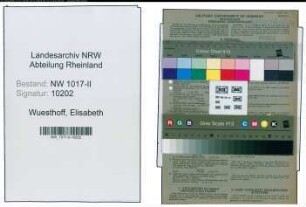 Entnazifizierung Elisabeth Wuesthoff , geb. 13.11.1906 ()