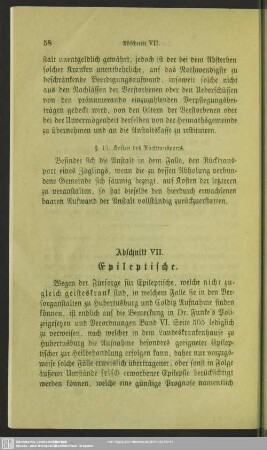 Abschnitt VII. Epileptische