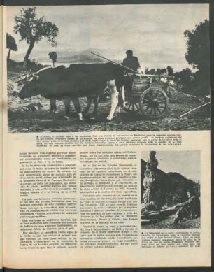 A medio siglo de crearse el primer parque nacional