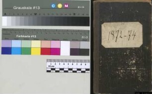 Konzertprogramme von Julius Otto Grimm 1872 - 1874