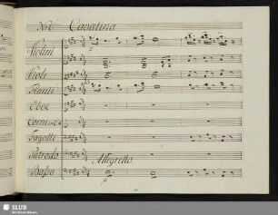 Cavatina: Quel foco tenero