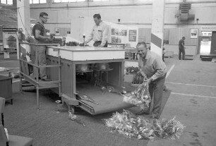 Konstruktion einer Blumenverpackungsmaschine durch den Karlsruher Gärtner Armin Schweikert.