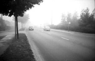 Autofahren im Nebel