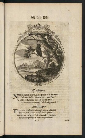 151-165, Ascalaphus; Chelys