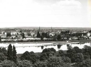 Dresden-Friedrichstadt, Schlachthofring 6. Ehem. Städtischer Vieh- und Schlachthof (1902-1910, H. Erlwein). Blick vom Kessel- und Maschinenhaus