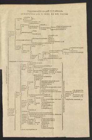 Synoptica Lib. V. Idea Ex Dn. Pacio