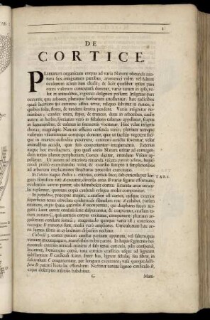 De Cortice.