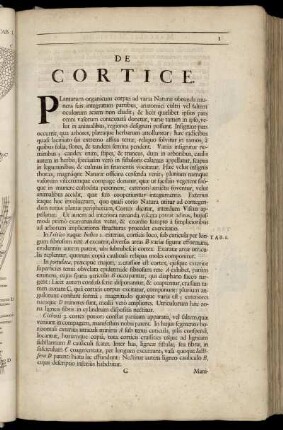 De Cortice.